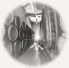 Oenotourisme Oenotourisme