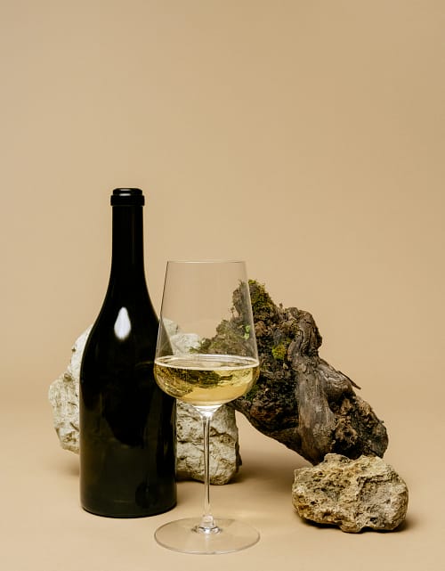 Dégustation de 5 Champagnes