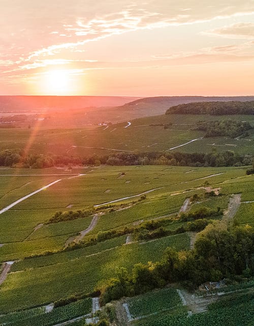 Œnotourisme – domaines Leconte