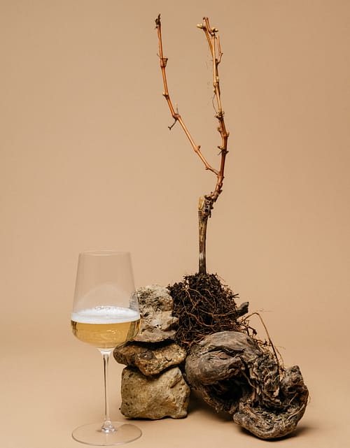 10-HD-shooting-AlexisLECONTE-12mars2024-StudioQuotidien-ChloeLAPEYSSONNIE-3476